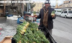 Hakkari'de yılın çiriş otu tezgâhlarda yerini aldı