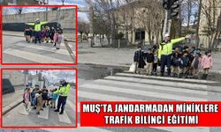 Muş'ta jandarmadan öğrencilere uygulamalı yaya geçidi eğitimi