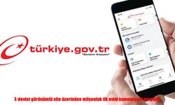 E-Devlet taklidiyle nitelikli dolandırıcılık: 34 şüpheli yakalandı