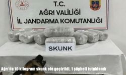 Ağrı’da jandarmadan uyuşturucuya darbe: 10 kilo skunk ele geçirildi