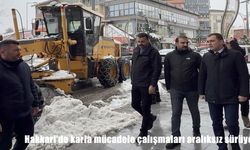 Hakkari'de karla mücadele çalışmaları aralıksız sürüyor