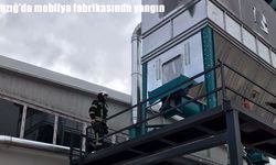 Elazığ’da mobilya fabrikasında çıkan yangın söndürüldü