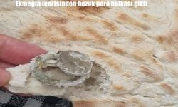 Fırından aldığı ekmeğin içinden bozuk para çıktı