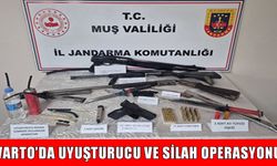 Varto’da uyuşturucu ve silah operasyonu: 2 gözaltı