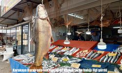 Malatya’da 42 kiloluk turna balığı ilgi gördü