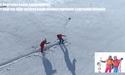 Kayakseverlerden Ağrı Dağı için kayak merkezi çağrısı