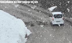 Yüksekova’da kar ve yoğun sis etkili oldu: Görüş mesafesi 20 metreye düştü