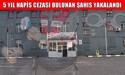 Muş’ta firari şahıs jandarma operasyonuyla yakalandı