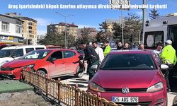 Erzurum’da araç içerisindeki köpek kazaya neden oldu