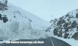 Van-Hakkari Karayolunda çığ: Çok sayıda araç yolda mahsur kaldı