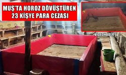 Muş’ta horoz dövüşü operasyonu: 23 kişiye para cezası