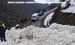 Çatak'ta çığ düştü: 1 mahalle ve 8 mezraya ulaşım sağlanmıyor
