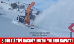 Hasköy-Mutki karayolunda kar ve tipi engeli: Trafik akışı durdu