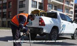 Elazığ’da larva üretiminin engellenmesi için çalışmalar sürüyor