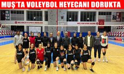 Voleybol Bölgesel Lig maçları Muş’ta başlıyor