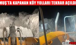 Muş'ta kar mesaisi: Tüm yollar açıldı