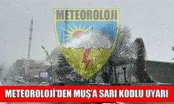 Muş için ‘Sarı Kod’lu uyarı: Yoğun kar yağışı geliyor