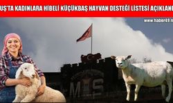 Muş’ta kadınlara %70 hibeli küçükbaş hayvan desteği: Asil ve yedek isim listesi açıklandı