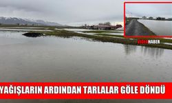 Muş Ovası’ndaki araziler suyla kaplandı