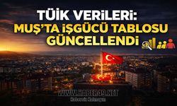 Muş’un işsizlik ve istihdam rakamları açıklandı