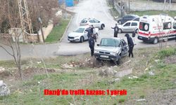 Palu’da meydana gelen kazada 1 kişi yaralandı