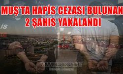 Muş’ta aranan şahıslara yönelik operasyon: 2 firari yakalandı