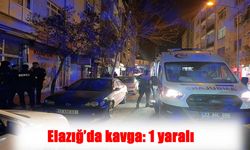 Elazığ’da Sokak Ortasında Kavga