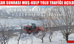 Muş-Kulp kara yolu ulaşıma açıldı