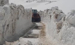 Nemrut Dağı’nda Kar 5 Metreyi Buldu: Zirve Yolunda Çalışmalar Sürüyor