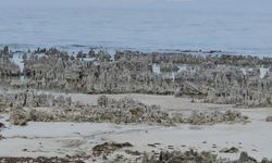 Van Gölü’nde Su Çekildi: Adilcevaz Sahilinde Mikrobiyalitler Ortaya Çıktı