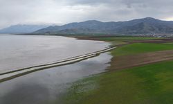 Keban Barajı’nda 7 Yıllık Büyük Değişim: Kuruyan Alanlar Suya Gömüldü