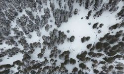 Kars’ta Kar Yağışı Etkisini Sürdürüyor