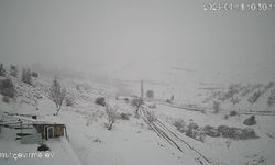 Malatya’da Köye İnen Kurt Sürüsü Kameraya Yansıdı