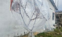 Soğuk Hava Üreticileri Harekete Geçirdi