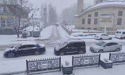 Çaldıran’da Nisan Sürprizi: Kar Yağışı Hayatı Olumsuz Etkiledi