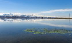 Meteorolojiden Doğu Anadolu’ya Zirai Don Uyarısı