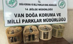 Van Gevaş’ta Keklik Avına 86 Bin 278 Lira Ceza