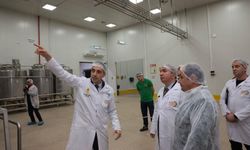 Türkiye’nin Dört Bir Yanından Gelen Ballar Erzincan’da İşleniyor