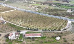 Malatya’da Kayısı Üreticileri Zirai Dona Karşı Pervane Sistemleriyle Önlem Alıyor