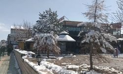 Van’ın Özalp İlçesinde Nisan Karı Etkili Oldu, İlçe Beyaza Büründü