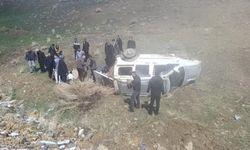 Van-Hakkari Yolunda Kamyonet Şarampole Devrildi: 4 Yaralı