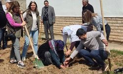 Elazığ’da Huzurevi Sakinleri Fidan Dikim Etkinliğinde Buluştu