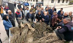 Çemişgezek’te Vatandaşlara Ücretsiz Fidan Dağıtıldı