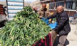 Van’da Çiriş Otu Tezgahlarda: Kilosu 100 TL’den Satılıyor