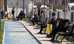 Yağışlı Günler Sonrası Güneş Yüzünü Gösterdi