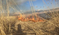 Van Muradiye’de Sazlık Alanda Yangın: İtfaiye Ekipleri Müdahale Etti