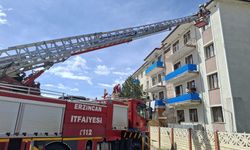 Erzincan’da Çatıya takılan kuşu itfaiye kurtardı