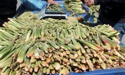 Yüksek rakımın lezzeti tezgâhlarda