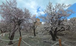Akdamar Adası’nda Kartpostallık Bahar Manzarası