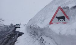 Ilgar Dağı’nda Kar Tabela Boyunu Geçti